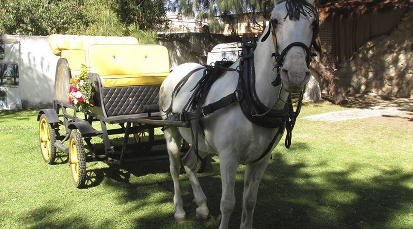 Parques Don Regino - Galería 5