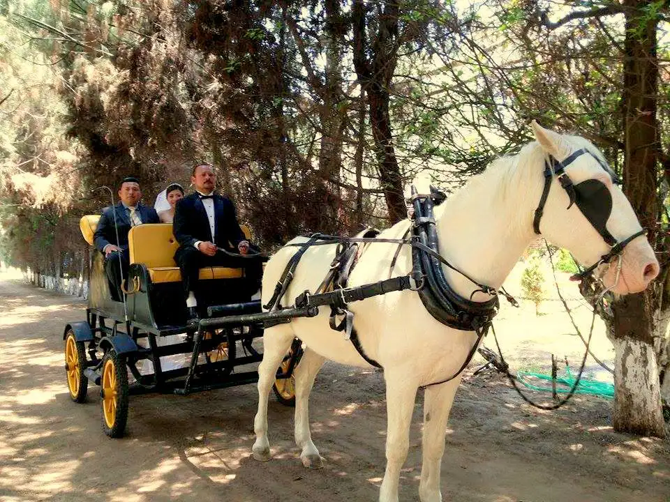 Parques Don Regino - Galería 5